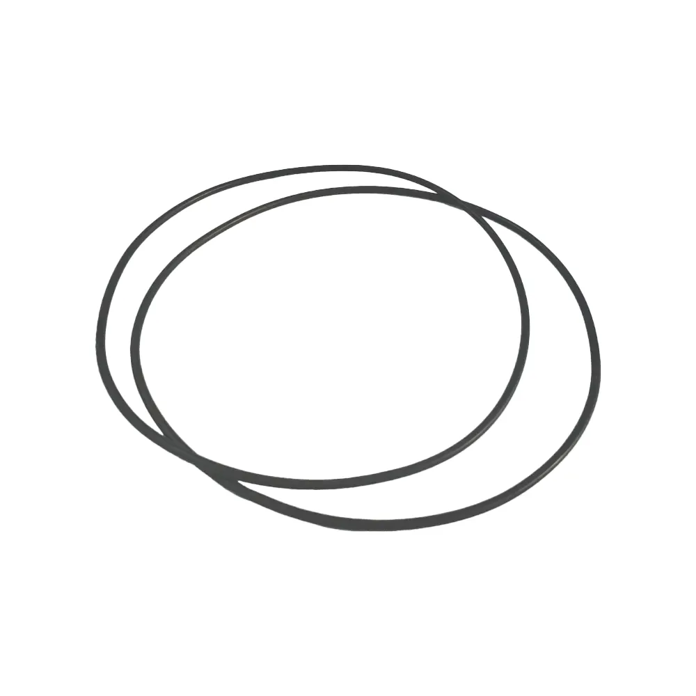 Aqua Max S Pump Flange O-Ring